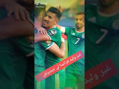 الي الي في الشبكة ياللجيري 