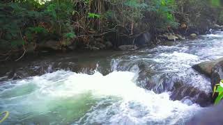 sound of flowing water nature  haarmoni of natural sound