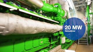 Steag New Energies - Referenz Ford Saarlouis