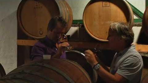 JAMESSUCKLING.COM - A Supreme Tuscan - The Wine from Testamatta