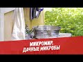 Дачные микробы — Микромир