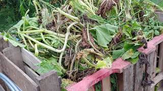 Pumpkin Patch Cleanup