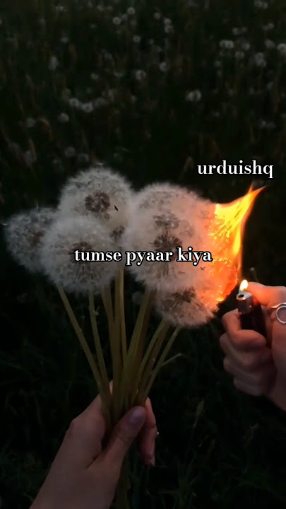 💕'tumse bhi jada'#lyrics# tadap #lovesong #status
