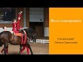 Вольтижировка - дисциплина конного спорта / Дивные Кони