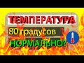 Температура видеокарты 80 градусов это нормально? Какая нормальная температура карты?