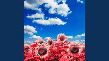 Calm Moods for Courageous Journey