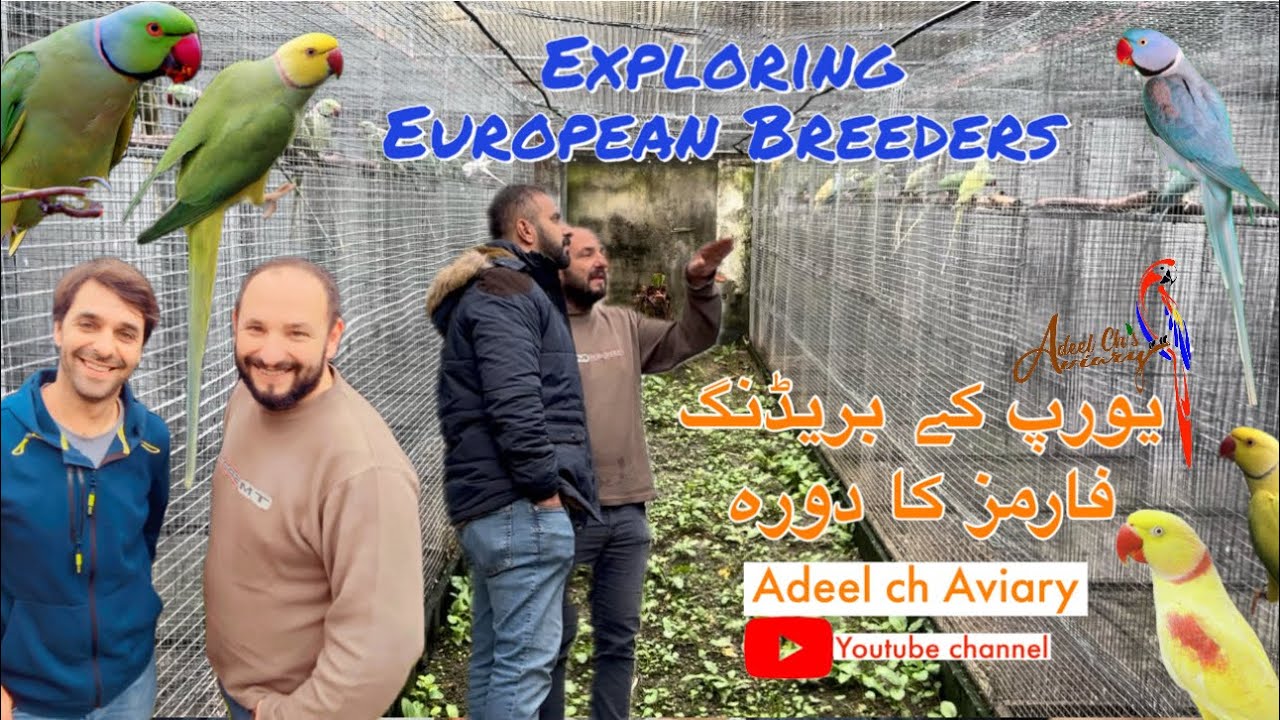Visit European breeder