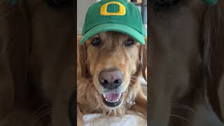 #oregon #new #trending #viral #dog