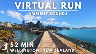 Virtual Running Video For Treadmill With Ambient Sounds in #Wellington, New Zealand #virtualrun by Virtual Running TV 22,289 views 6 months ago 54 minutes