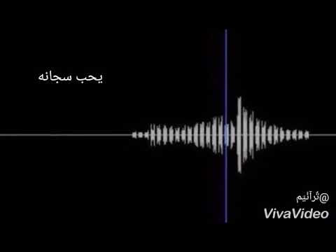 عمرك سمعت بطير يحب سجانه اغنيه روعة