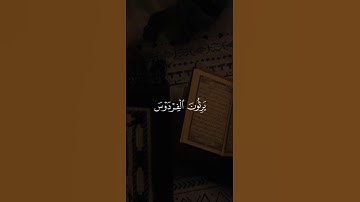 اكتب شيء تؤجر عليه 😴💚 قران كريم | ياسر الدوسري
