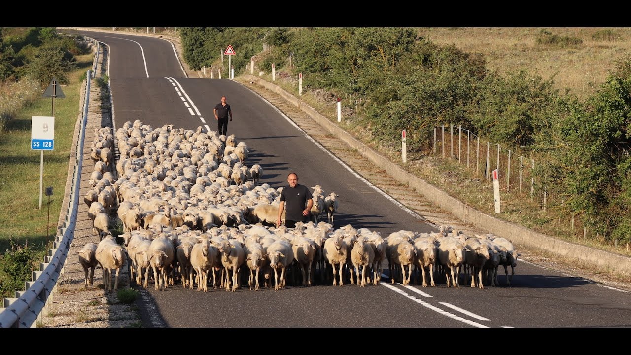 DESULO. GLI ULTIMI PASTORI SACERDOTI DEL RITO DELLA TRANSUMANZA