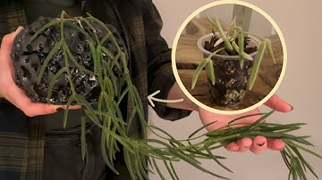 2025 Growing Season Highlights