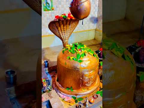 आज के दिन महादेव का ये दिव्य दर्शन 🙏🔱 | Today’sMahadev Darshan ❤️ | Har Har Mahadev #Shorts