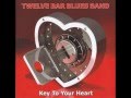 Twelve Bar Blues Band Love That Burns mp3