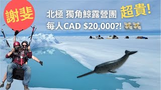 4K Narwhal tour I Pond Inlet I  Nunavut I Arctic Kingdom (Sub : Eng/中/簡)