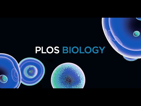 Q&A with Nonia Pariente, Editor-in-Chief, PLOS Biology