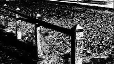 BLACK & WHITE - FJ Nanić Faćo