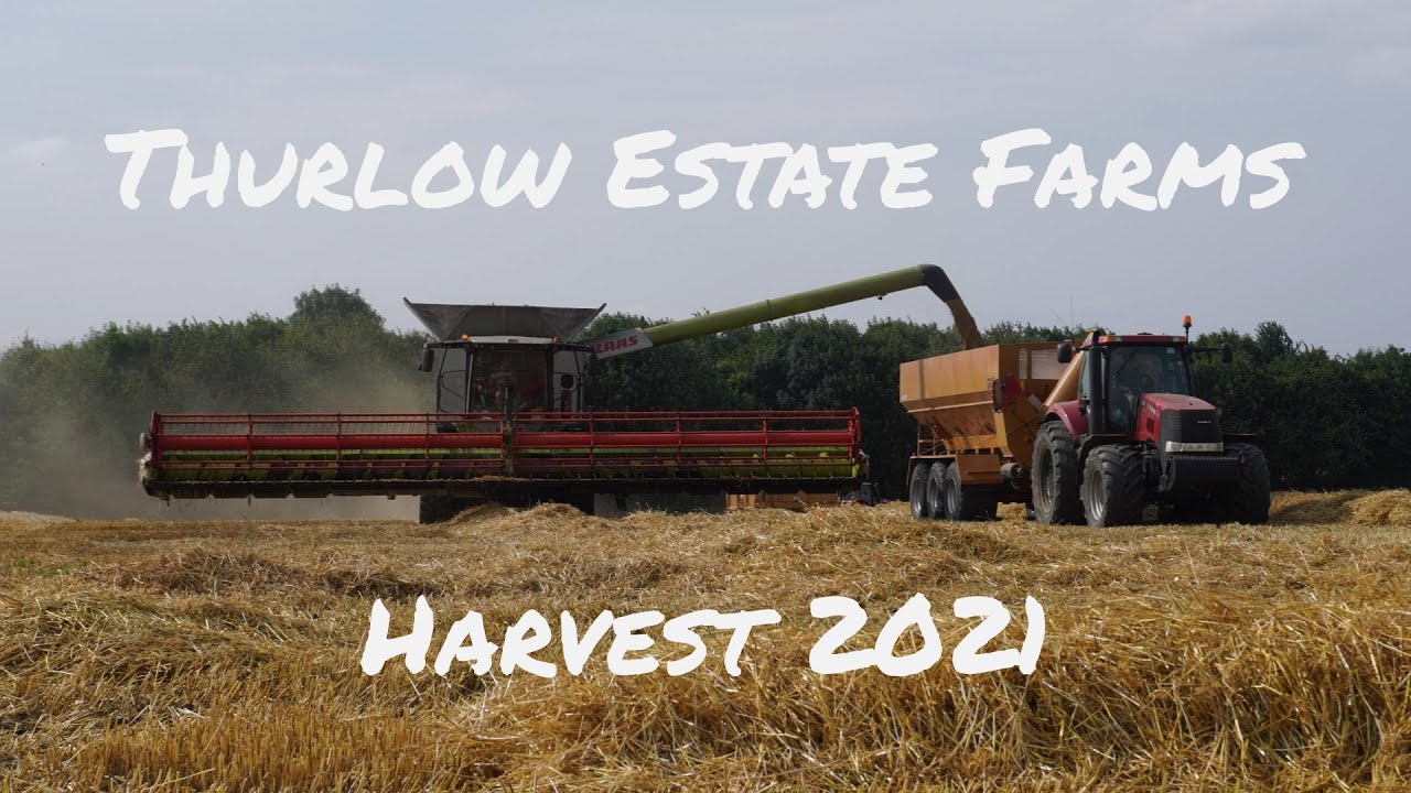 Thurlow Estate Farms Harvest 2021