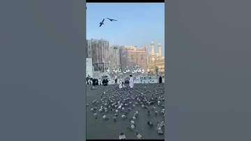 القارئ : عبد الرحمن مسعد﴿ الَّذِيۡنَ صَبَرُوۡا وَعَلٰى رَبِّهِمۡ يَتَوَكَّلُوۡنَ ﴾ [ سورة العنكبوت
