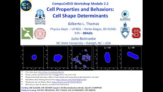 CompuCell3D WS 2025: 2.2: Introduction to Cell Properties [Gilberto Thomas] July 29, 2025