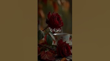 القران الكريم راحة نفسية تلاوة خاشعة حالات واتساب قران كريم #حالات_واتس_اب #اكسبلور