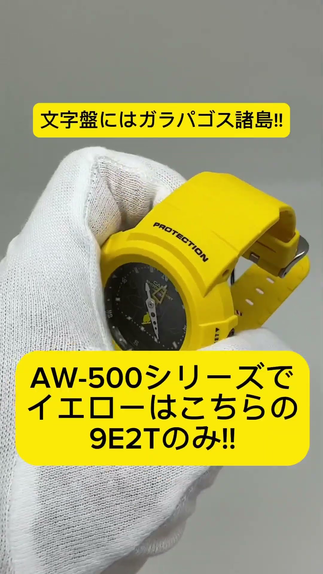 ガラパゴス諸島のGショック!?99年発売のレアモデルAW-500D-9E2Tを中古G-SHOCK専門店G-BRIDGESが紹介!! #gshock  #ジーショック #大阪府 #ガラパゴス