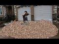 Giving 3,000,000 Pennies To My 3,000,000th Subscriber