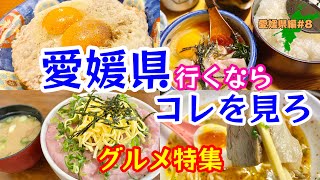 【愛媛県グルメ】愛媛の旨い動画！ご当地グルメ、ラーメン詰め合わせ～飯テロ注意