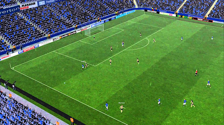 Everton 4-0 Leicester - Match Highlights