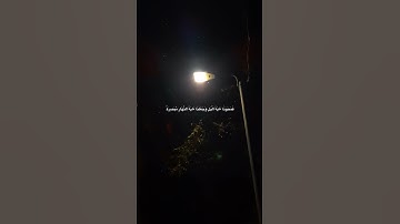 تلاوة جميلة للشيخ محمد الصديق المنشاوي رحمه الله ❤️
