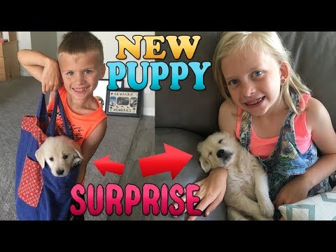 Surprising Our Kids with a PUPPY!  || Mommy Monday