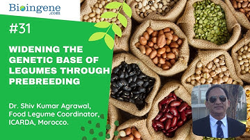 Widening the Genetic base of Legumes through Prebreeding