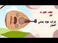 عزف عود يمني أصيل ليلك الليل يا ليل حمود السمة عزف عود يمني أصيل ليلك الليل يا ليل حمود السمة