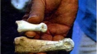 15 Foot Giant Finger Bone - ARTI-FACTS with Jerry Bowen   Discoveries of Ron Wyatt