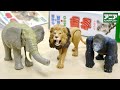 アニア×小学館の図鑑NEO『動物』コラボセット。生物学的な造形再現度と限定カラーの質感徹底レビュー