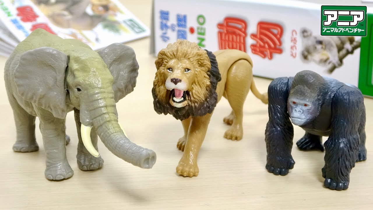 【 造幣局製】限定品 記念章 スーベニア 小動物 アニア×小学館の図鑑NEO『動物』コラボセット。生物学的な造形再現度と