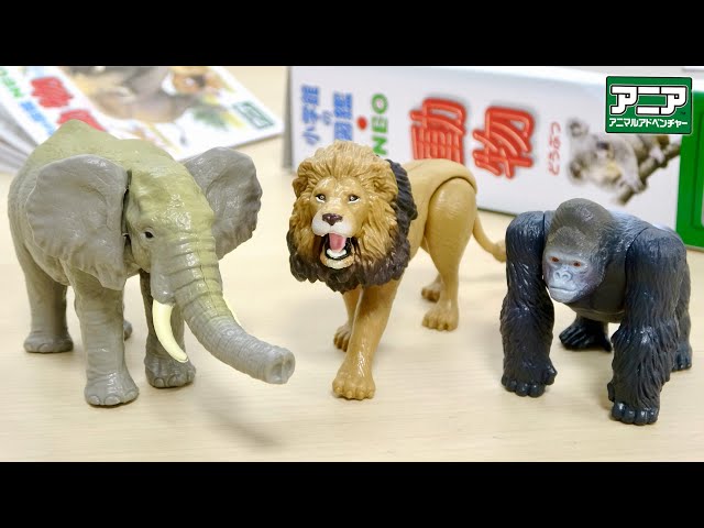 アニア×小学館の図鑑NEO『動物』コラボセット。生物学的な造形再現度と