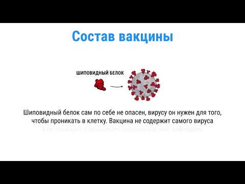 Как работают белковые вакцины?