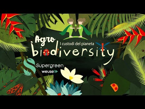 Video: Cosa si intende per crisi della biodiversità?