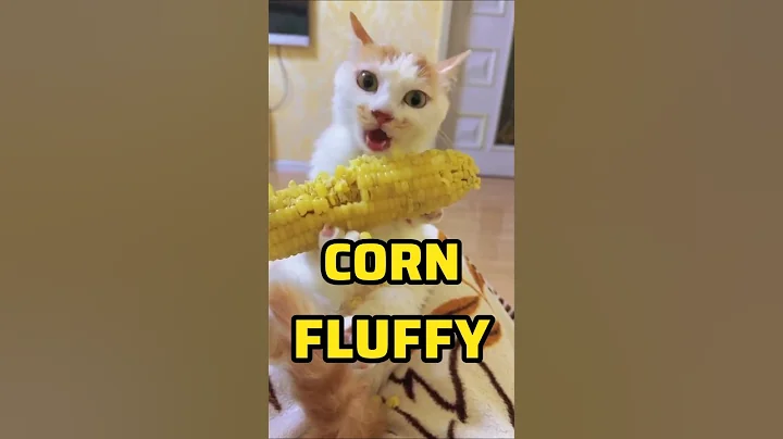 Video 7074411: drawing cute cats kittens, funny kittens baby cats