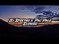 DJ Spectre x Pal Pale Pale Slowed ( DJ Lloyd Drop Remix )