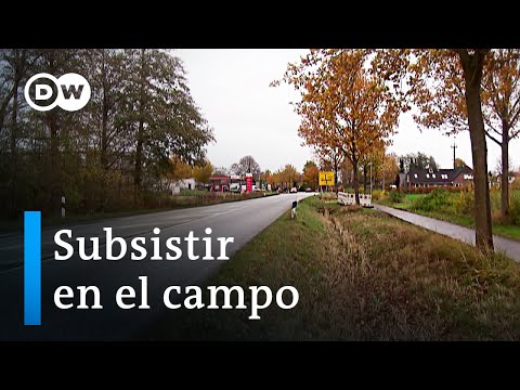 Vídeo: Predicción En Tiempo Real A Nivel De Vecindario De Casos De Dengue En Singapur Tropical Urbano