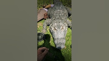 p899 Simulate great survival skills , #shorts