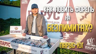 картинка: Как ЛОВИТЬ форель НА БЕЗЛИМИТЕ | Парус-Юг | Рыбалка с Дмитрием Галкиным