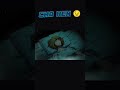 cha hen think about jinwoo sung #sololeveling #anime #animeshorts #manhwa