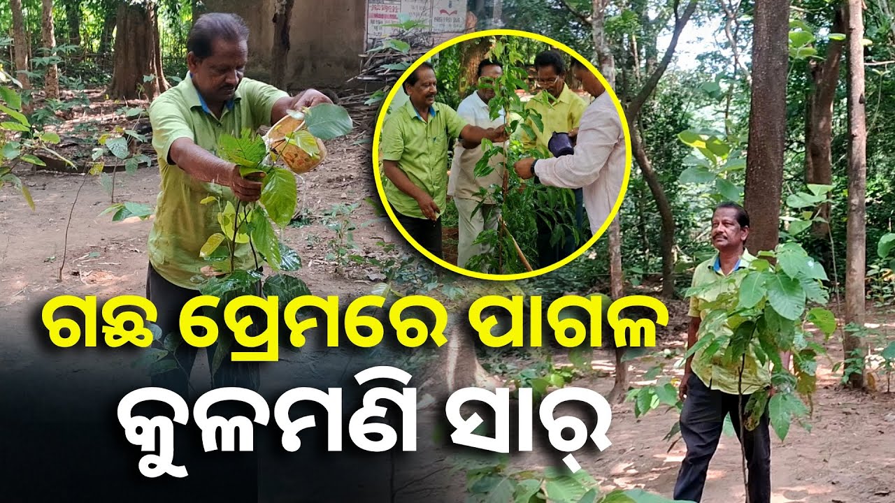 ୧୯୯୯ ବାତ୍ୟା ତାଙ୍କ ଦୃଷ୍ଟିଭଙ୍ଗୀ ବଦଳାଇ ଦେଲା, ସେବେ ଠାରୁ ପ୍ରତିଦିନ ଲଗାଉଛନ୍ତି ଗଛ || Knews Odisha