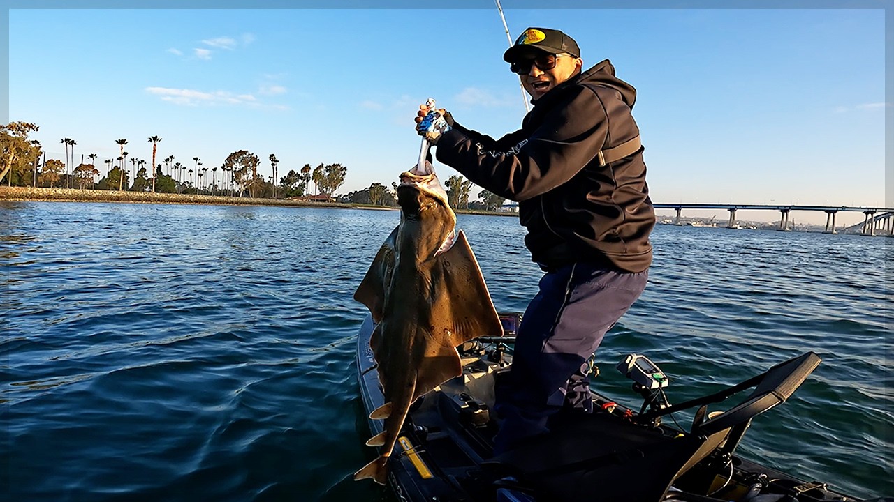 Маленькие ангельские акулы!! - Рыбалка на оснастке в Алабаме - Рыбалка с каяка в Сан-Диего - Палт...