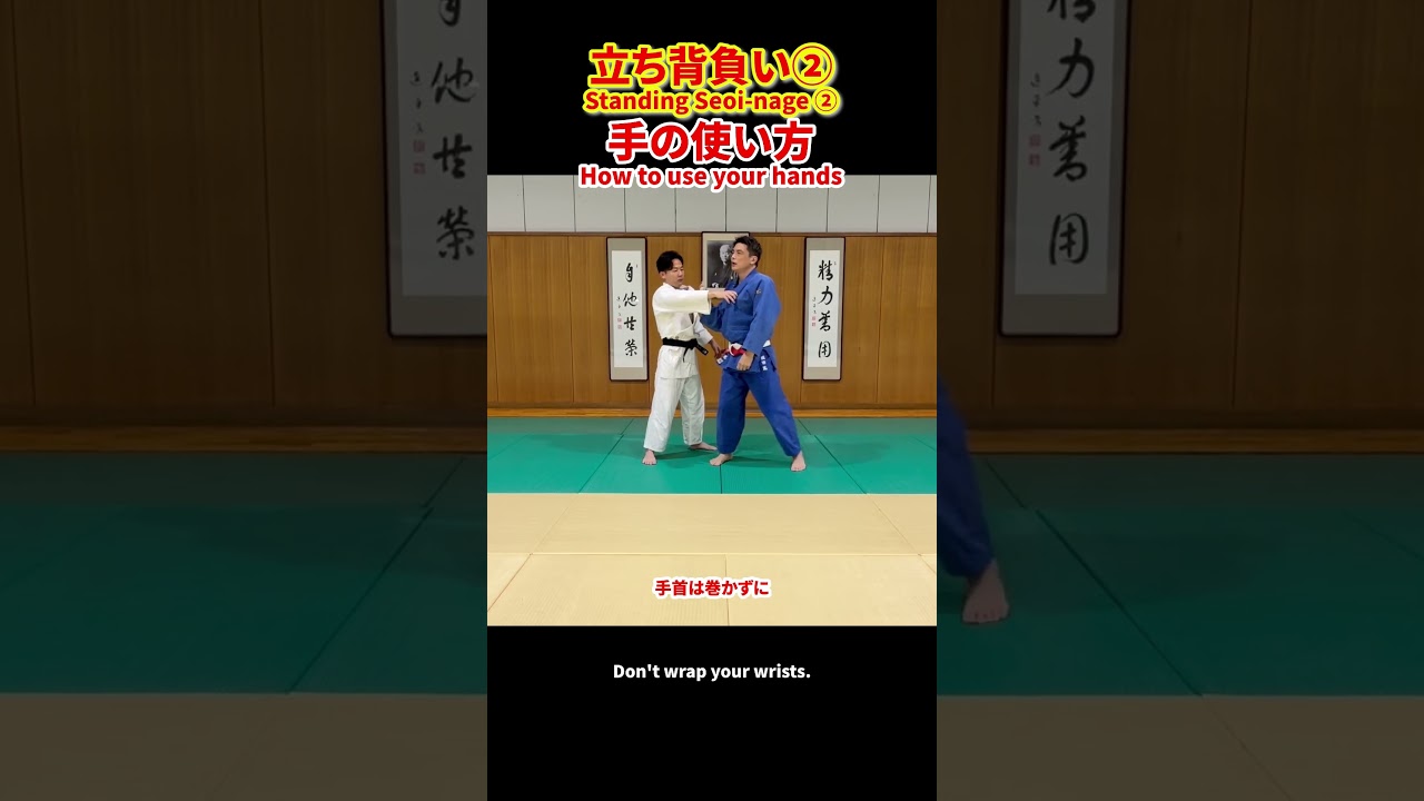 背負投を立ったまま投げる方法②手の使い方を習得する#柔道 #judo #投技 #立技 #背負投 #立ち背負投 #柔道技解説 #釣り手 #崩し #柔道上達 #judotechnique #shorts
