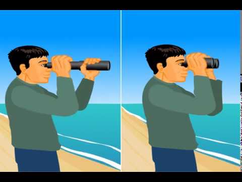 Video: Берч фанерасынын оптикалык иллюзиясы